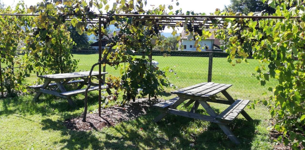 Seeidylle Winkler Bodensdorf Exterior foto